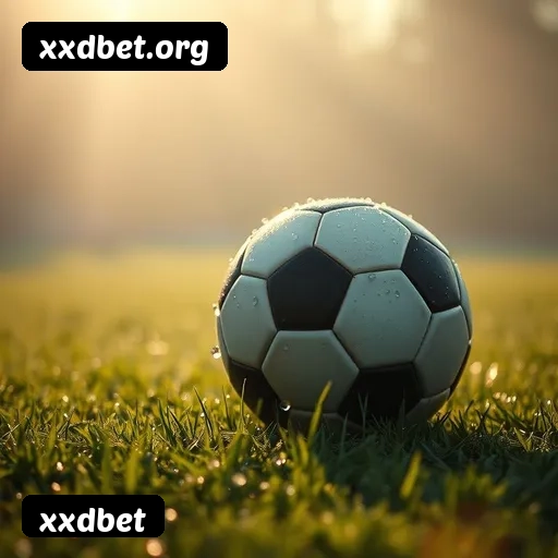Principais provedores de slots da xxdbet - NetEnt, Pragmatic Play, Play'n GO